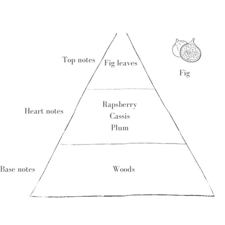 The Fig Scent in Petite Blush Pott