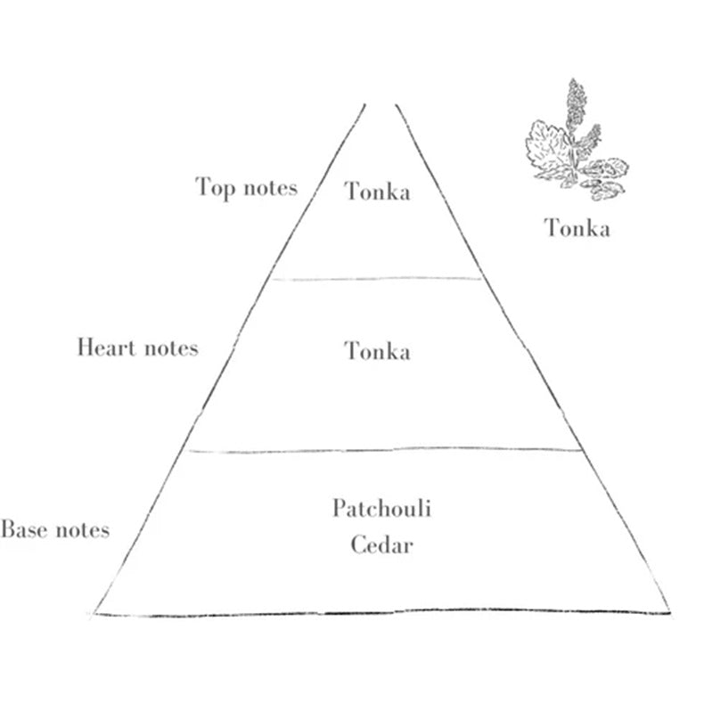 Petite Refillable Candle and Matchsticks